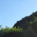 데미샘호수펜션 이미지