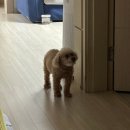 투아트게임방 | 내 블로그 감성 모르면 나가라