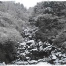 산록매점