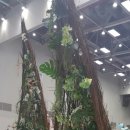 꽃그리고 이미지