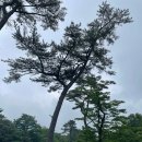한성자동차㈜ 분당백현서비스센터 | 벤츠 GLC350e 앞유리 전면교체 돌빵 서비스센터 교체가격 및 공식 서비스센터 수리 후기