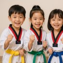 내체력 태권도장 이미지