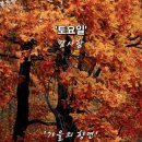 가을빛 이미지