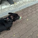 머뭉공간 이미지