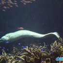 진보양푼이물회 이미지