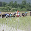 광주동초등학교 이미지