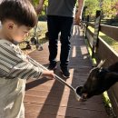 호복 농장 이미지