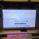 P-5F24 | 크리스마스 연말 콘서트 클콘 The Present 마이데이 5기 선예매 막콘 성공 후기 예스24 서버 티켓팅 꿀팁