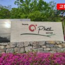왕발스포츠화