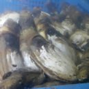 전통숫불바베큐 이미지