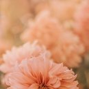 서울 금천구 더피아노 음악교습소, 후기, 가는법, 리뷰