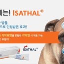 에메랄드약국 이미지