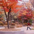 강남이편한치과의원 네이버블로그