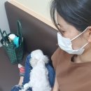 싸인메디칼주
