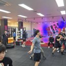 과천복싱체육관 이미지