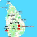 인연이야기[648] 스리랑카 홍차 믈레즈나 샤랑즈 OP 1. 이미지