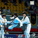 태백강원태권도체육관 이미지