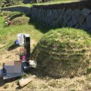 거부네집 이미지