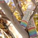 보드랍개 이미지