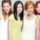 파파야1 이미지