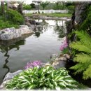 언덕위에 하얀집 이미지