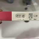 더블링독 | 시험관 무증상 성공 후기