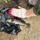 이마트24태안안면도점 이미지