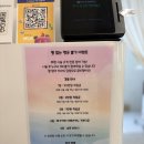 비비도리스 애견샵 | 강서구 등촌역 염색 &amp; 펌 맛집 '살롱드비비', 머릿결 건강까지 체크하는 전문가의 꼼꼼한 상담 후기