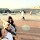 시장 | 오이도 야장 감성 즐기러 갔다가 불편했던 난전시장 후기