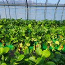 태경농장 이미지