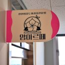 디에스지 | 영종도 화과자 원데이클래스 앙아르떼 성인원데이클래스 체험 후기