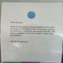 젊은열대어 | 보홀 돌조비치 JNP 다이빙센터 위치 가격 물품대여 셀프 투어 찐 후기