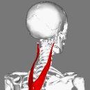 스포니스 잠실새내점 이미지