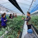 이상철농장 이미지