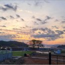 님 바래기 이미지