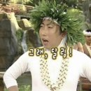 수세차