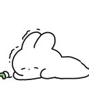 올가리조트