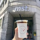 엠에스티(MST) 이미지