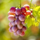 배곧멀티짐 이미지