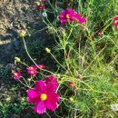 비 온 후엔 기온 하강 이미지