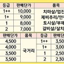 나성동 836 도시상징광장 이미지