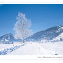 기분좋은하루 이미지