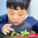 놀작늘봄미술교습소 이미지