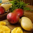 애플망고 이미지