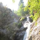 (주)캘리포니아폴스 이미지