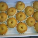 재봉농장 이미지