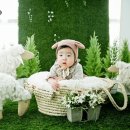해천목장 네이버블로그