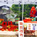 모두락 이미지
