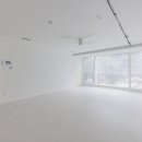 국화우성 이미지