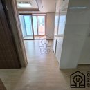 둔산플러스 이미지